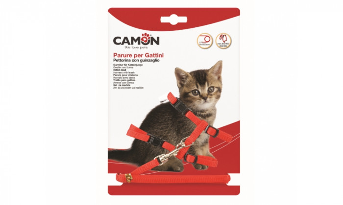 detail CAMON Set Kitten postroj + voditko, 8 x 1200 mm